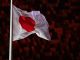 Флаг Японии. Фото: Павел Бедняков / РИА Новости